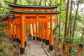 Orange Torii gates tunnels at Fushimi Inari-taisha shrine with morning sunlight in spring