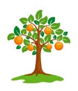Orange-tree