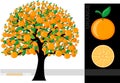 Orange tree Royalty Free Stock Photo