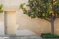 Orange tree against traditional Mediterranean city house building with a wooden door