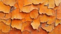 Orange Tree Bark Texture Abstract Pattern Royalty Free Stock Photo