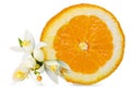 Orange tree flowers fresh slice aroma green leaves for detergent background