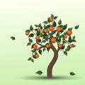 Orange Tree with fruits