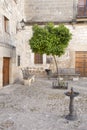 Orange Tree in Juan de Valencia Square, Ubeda Royalty Free Stock Photo