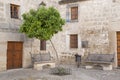 Orange Tree in Juan de Valencia Square, Ubeda Royalty Free Stock Photo