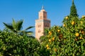 Orange Tree and Plants in front of Koutoubia Mosque in Marrakesh Morocco Royalty Free Stock Photo