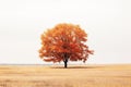 an orange tree stands alone in a field