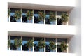 Orange trees on balconies of a modern building Royalty Free Stock Photo