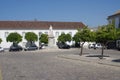 Orange trees on a city historic square