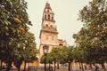 Orange trees garden around bell tower of the famous moorish Mezquita, Mosque-Cathedral of Cordoba, Spain Royalty Free Stock Photo