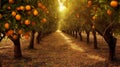 Orange trees plantation. Generative AI.