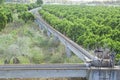 Orange trees plantation at Guadiana Meadows, Spain