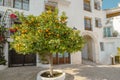 Orange trees on the street of the old city with white houses and tiled roofs, Altea, Costa Blanca, Spain Royalty Free Stock Photo