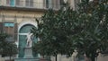 Orange trees in summer garden. Walled garden of the Palazzo Medici Riccardi (Palazzo Medici) in Florence