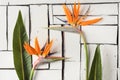 Orange tropical flowers and exotic leaves lie on a table of white plaque boards. A bird of paradise. Royalty Free Stock Photo