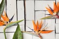 Orange tropical flowers and exotic leaves lie on a table of white plaque boards. A bird of paradise. Royalty Free Stock Photo