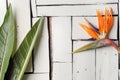 Orange tropical flowers and exotic leaves lie on a table of white plaque boards. A bird of paradise. Royalty Free Stock Photo