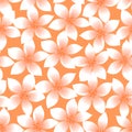 Orange tropical Plumeria and Hibiscus floral seamless pattern