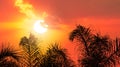 Orange tropical sunset Royalty Free Stock Photo