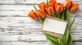 Orange tulips with dual tone petals on rustic white painted wood background