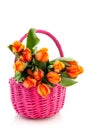 Orange tulips in pink basket Royalty Free Stock Photo