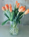 Orange Tulips Vase