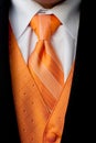 Orange Tuxedo Neck Tie and Vest