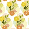 orange twigs limon seamless pattern Royalty Free Stock Photo
