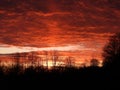 Orange twilight clouds light up sun pillar in winter sunset Royalty Free Stock Photo