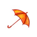 Orange umbrella on a white background