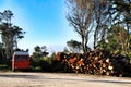 Orange van parked next to cut firewood in a forest