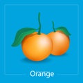 Orange vector design, Fruit vector Royalty Free Stock Photo