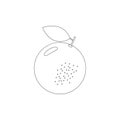 Orange vector doodle line icon. Grapefruit linear hand drawn symbol