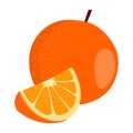 Orange vector.Fresh orange illustration