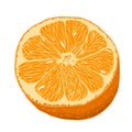 Orange vector icon illustration juicy fruit isolated on white background Royalty Free Stock Photo