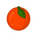 Orange. Vector icon of orange fruit. Citrus