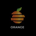 Orange vector logo. Fruits logo. Juice emblem.