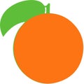 Orange Vector