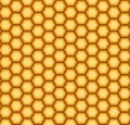 Orange vector seamless honey combs pattern. Honeycomb texture Royalty Free Stock Photo