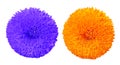 Orange violet decorative flower