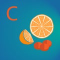 Orange and Vitamin C Vector