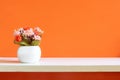 Orange wall with flower rose on shelf white wood, copy space for text. Royalty Free Stock Photo