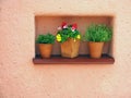 Orange wall and flowers Royalty Free Stock Photo