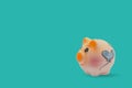 Orange watch color piggy bank isolated on blue background Royalty Free Stock Photo