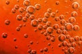 Orange water, air and oil mixed for a bubbly effect Royalty Free Stock Photo