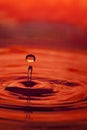 Orange water splash and drop