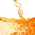 Orange water splash isolated