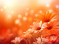 Orange watercolor morning flowers background