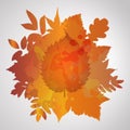 Orange watercolor painted autumn background Royalty Free Stock Photo