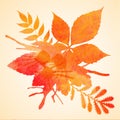 Orange watercolor painted autumn foliage background Royalty Free Stock Photo